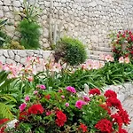 Tolle In Mit Schoenem Garten By Interhome *
