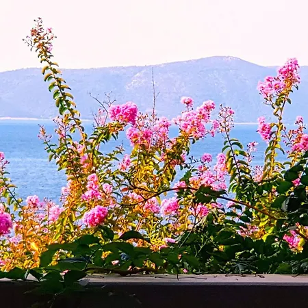 Tolle In Mit Schoenem Garten By Interhome Drašnice