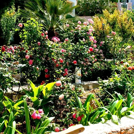 Tolle In Mit Schoenem Garten By Interhome * Drašnice