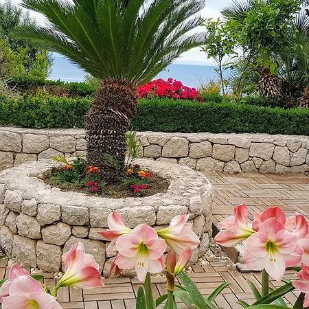 Tolle In Mit Schoenem Garten By Interhome Apartment *