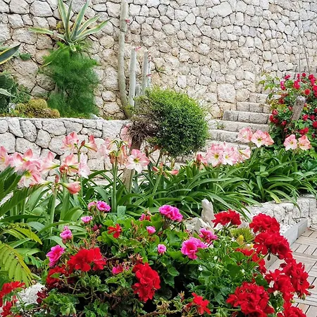 Tolle In Mit Schoenem Garten By Interhome *