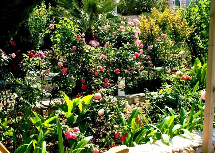 Tolle In Mit Schoenem Garten By Interhome * Drasnice